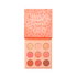 Coast To Coral Eyeshadow Palette